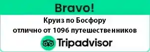 ru tripadvisors