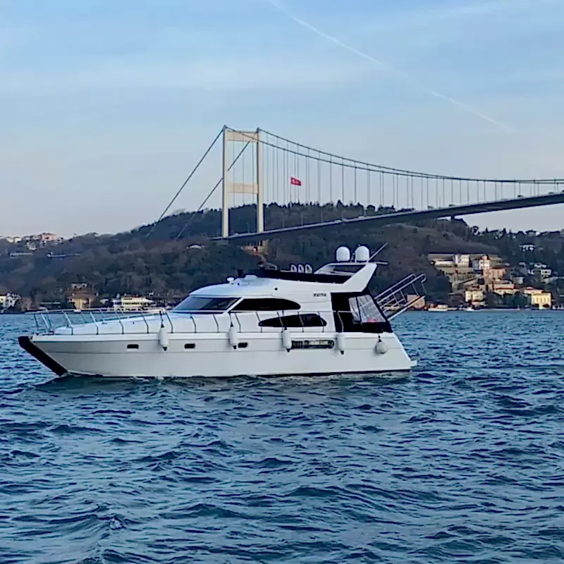 d6b6205e c518 4f95 8c09 4ebccb45fef1