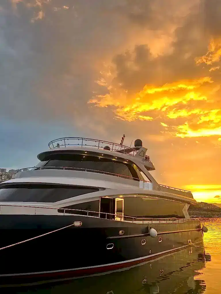 WhatsApp Image 2023 07 06 at 17.53.26 3